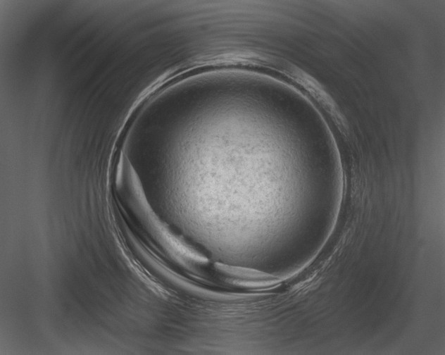 X0000084561234200702231223