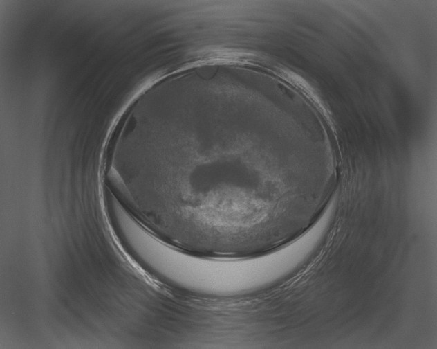 X0000084561235200702231223