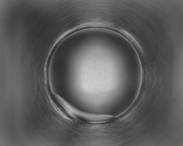 X0000084561238200702231223