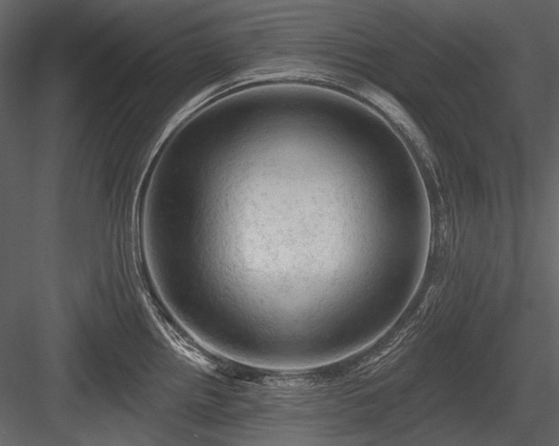 X0000084561242200702231223