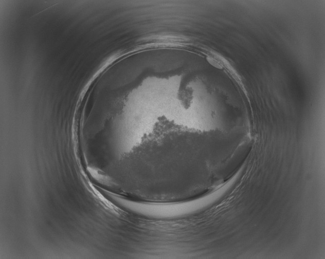 X0000084561243200702231223