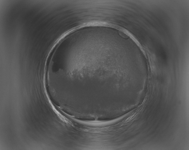 X0000084561245200702231223
