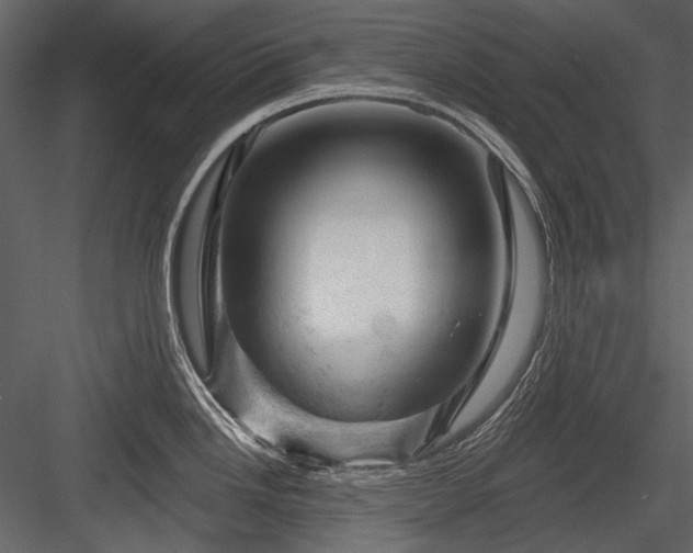 X0000084561246200702231223