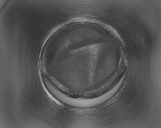 X0000084561247200702231223