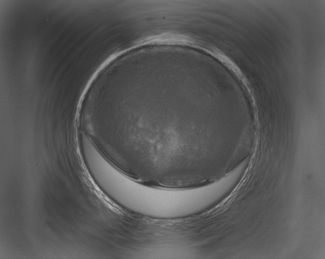 X0000084561248200702231223
