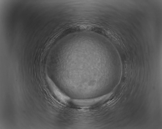 X0000084561249200702231223