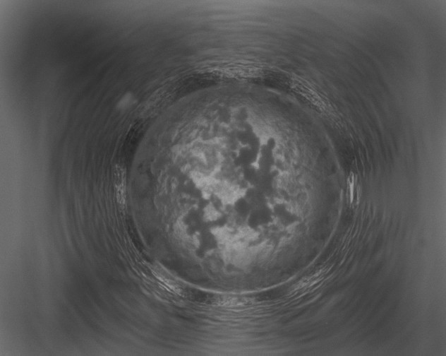 X0000084561251200702231223