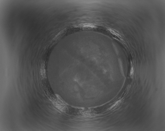 X0000084561252200702231223