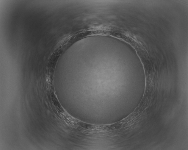X0000084561254200702231223