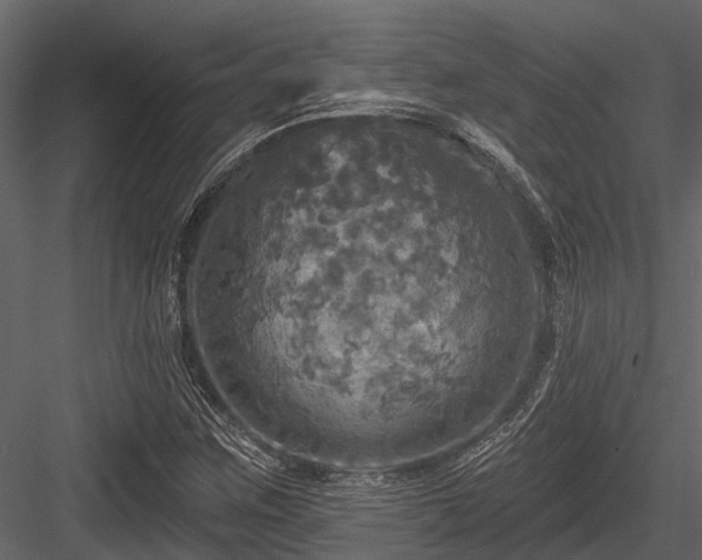 X0000084561259200702231222