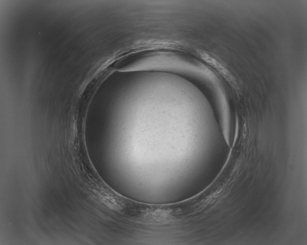 X0000084561261200702231222