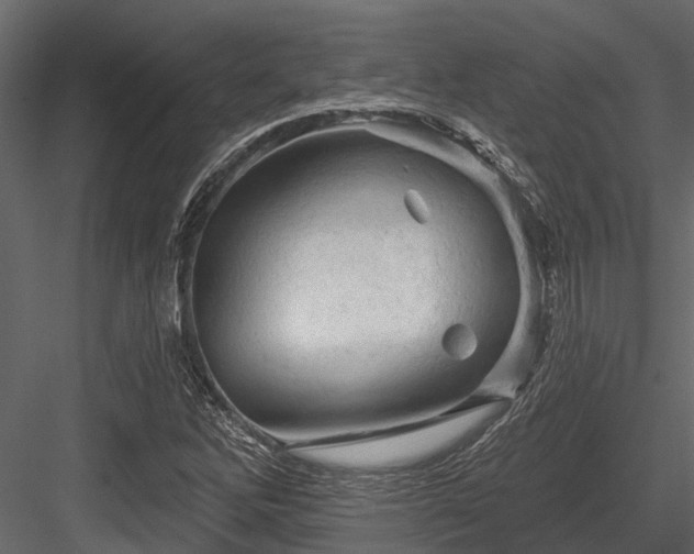 X0000084561262200702231222