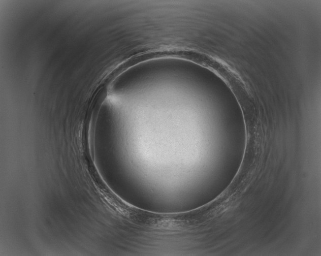 X0000084561265200702231222