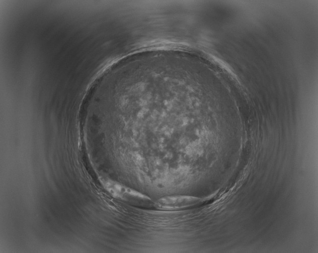 X0000084561267200702231222
