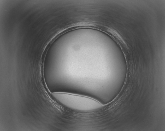 X0000084561268200702231222