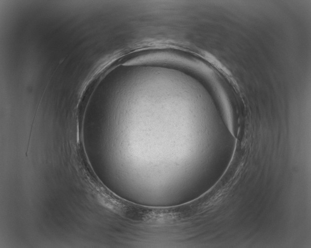 X0000084561269200702231222