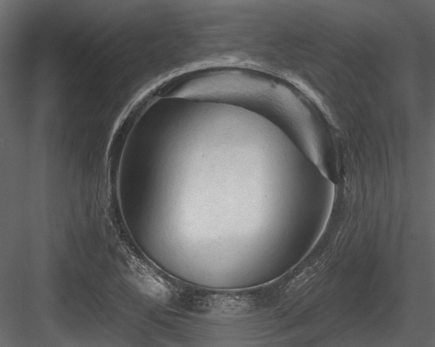 X0000084561270200702231222