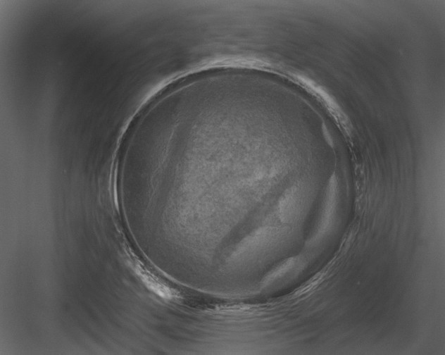 X0000084561272200702231222