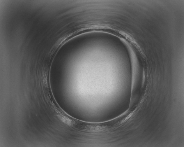 X0000084561273200702231222