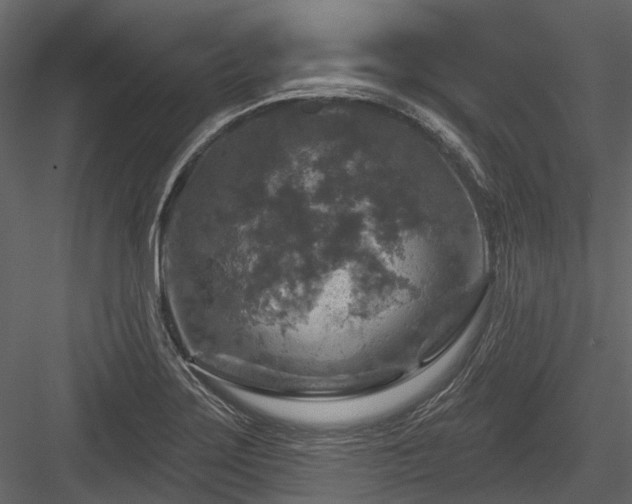 X0000084561275200702231222