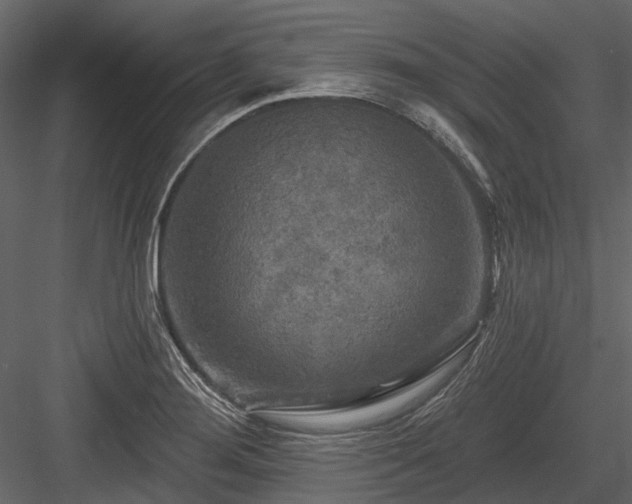 X0000084561276200702231222