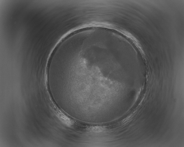 X0000084561280200702231222