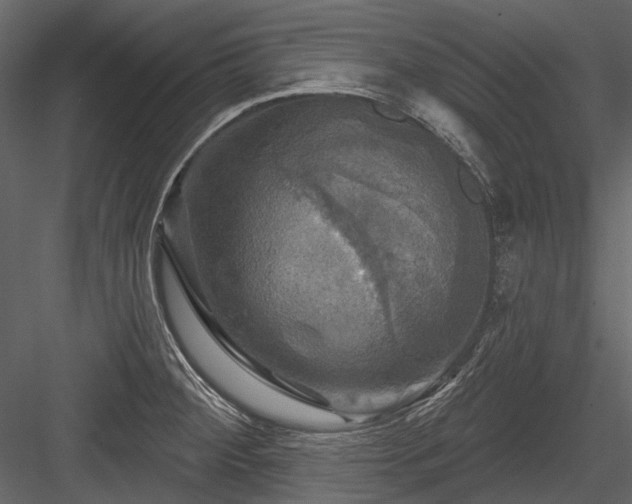X0000084561284200702231222
