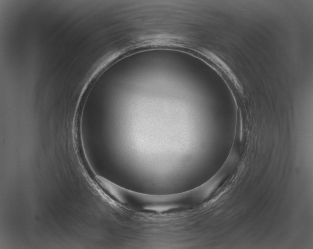 X0000084561285200702231222