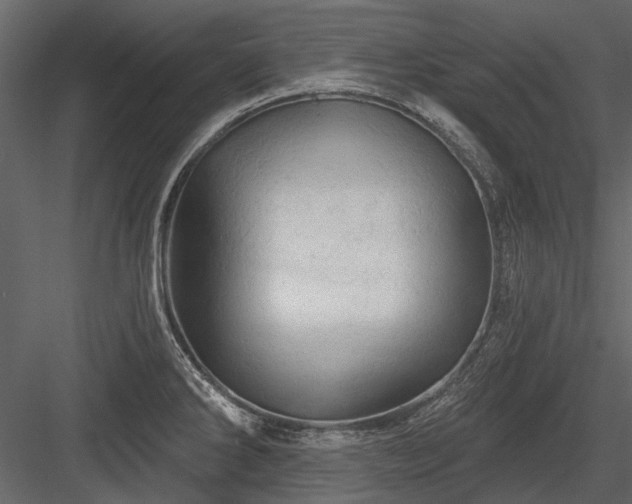 X0000084561286200702231222