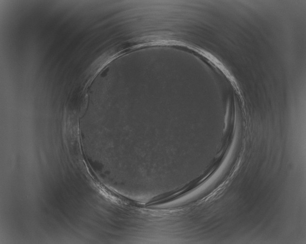 X0000084561289200702231222
