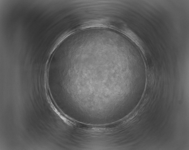 X0000084561290200702231222