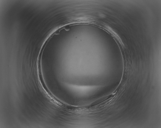 X0000084561291200702231222