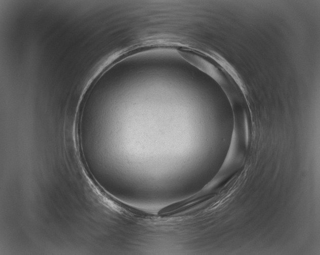 X0000084561293200702231222
