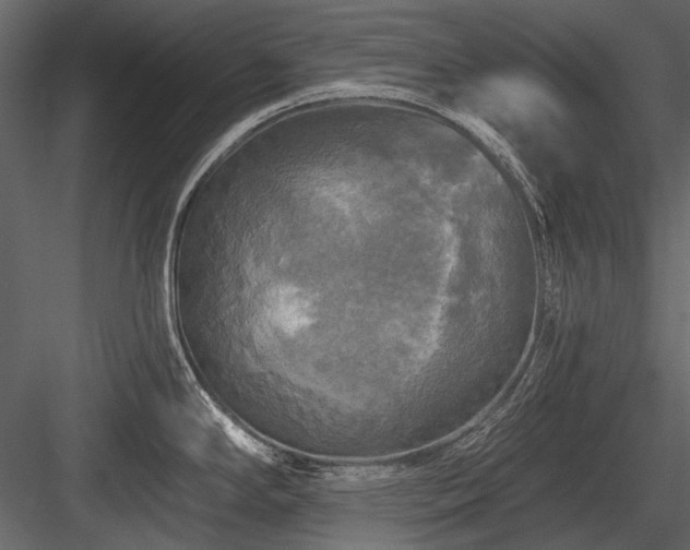 X0000084561294200702231222