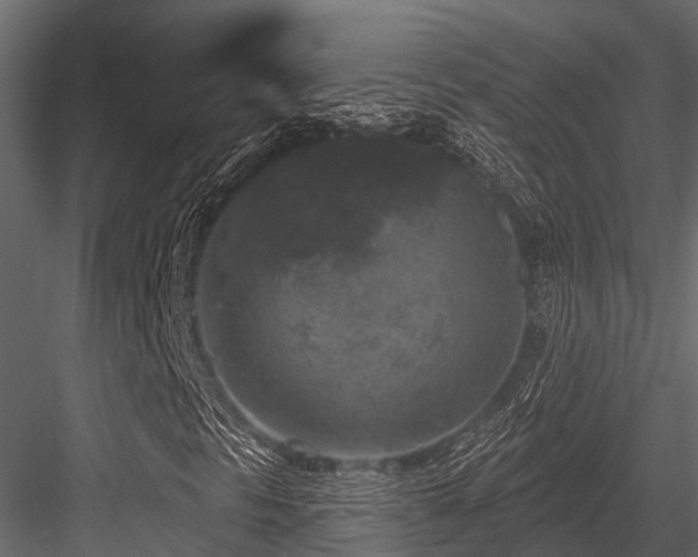 X0000084561297200702231221