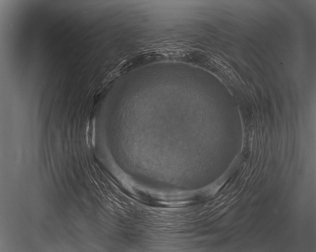 X0000084561298200702231221
