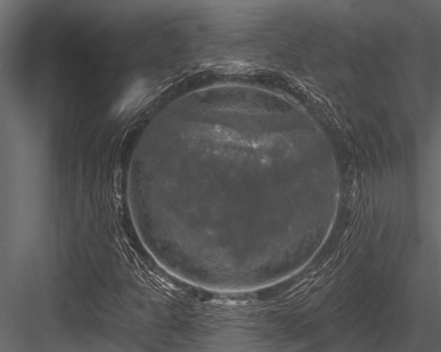 X0000084561301200702231221