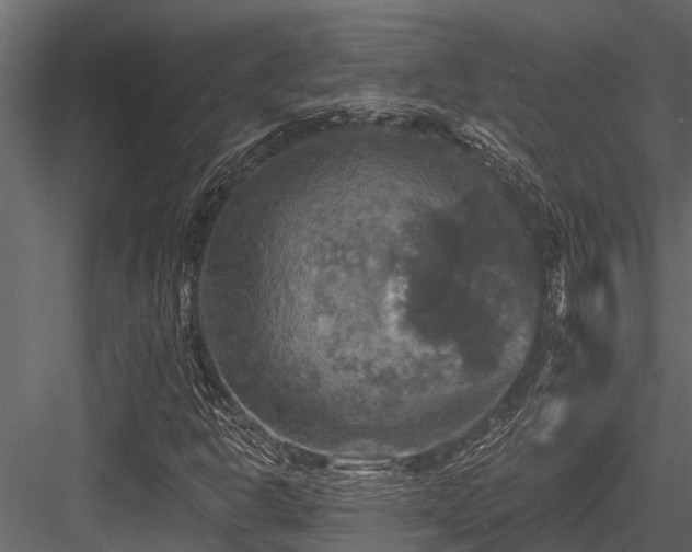 X0000084561302200702231221