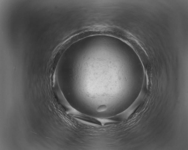 X0000084561304200702231221