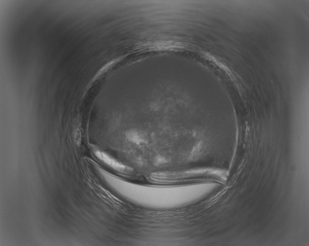 X0000084561306200702231221