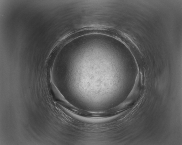 X0000084561307200702231221