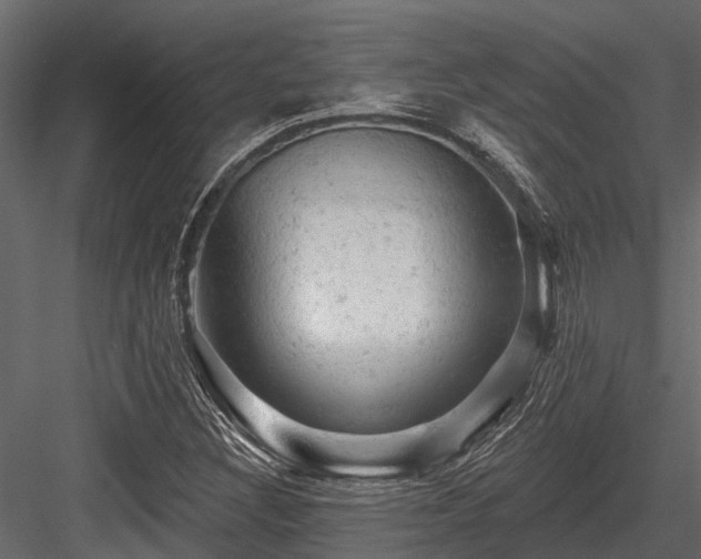 X0000084561308200702231221