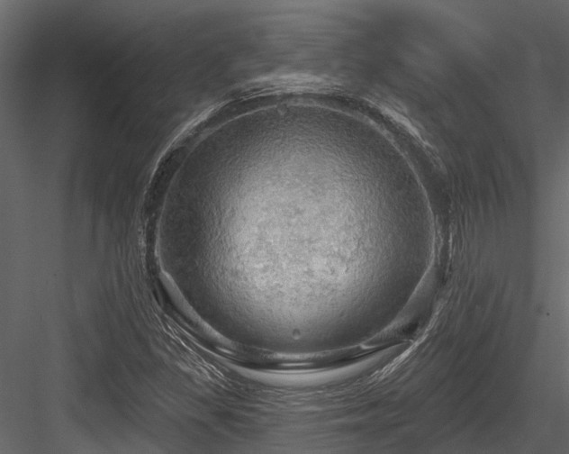 X0000084561309200702231221