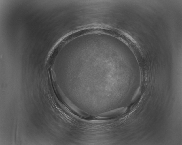 X0000084561310200702231221