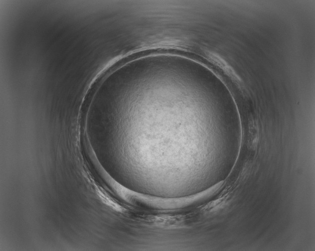 X0000084561316200702231221