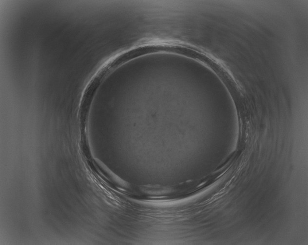 X0000084561319200702231221