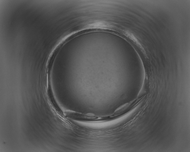 X0000084561323200702231221