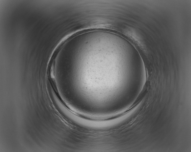 X0000084561324200702231221