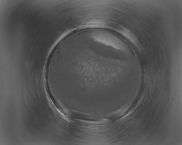 X0000084561325200702231221
