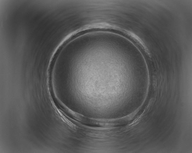 X0000084561326200702231221